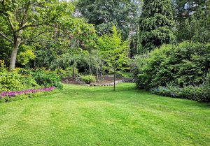 Optimiser l'expérience du jardin à Ribecourt-la-Tour